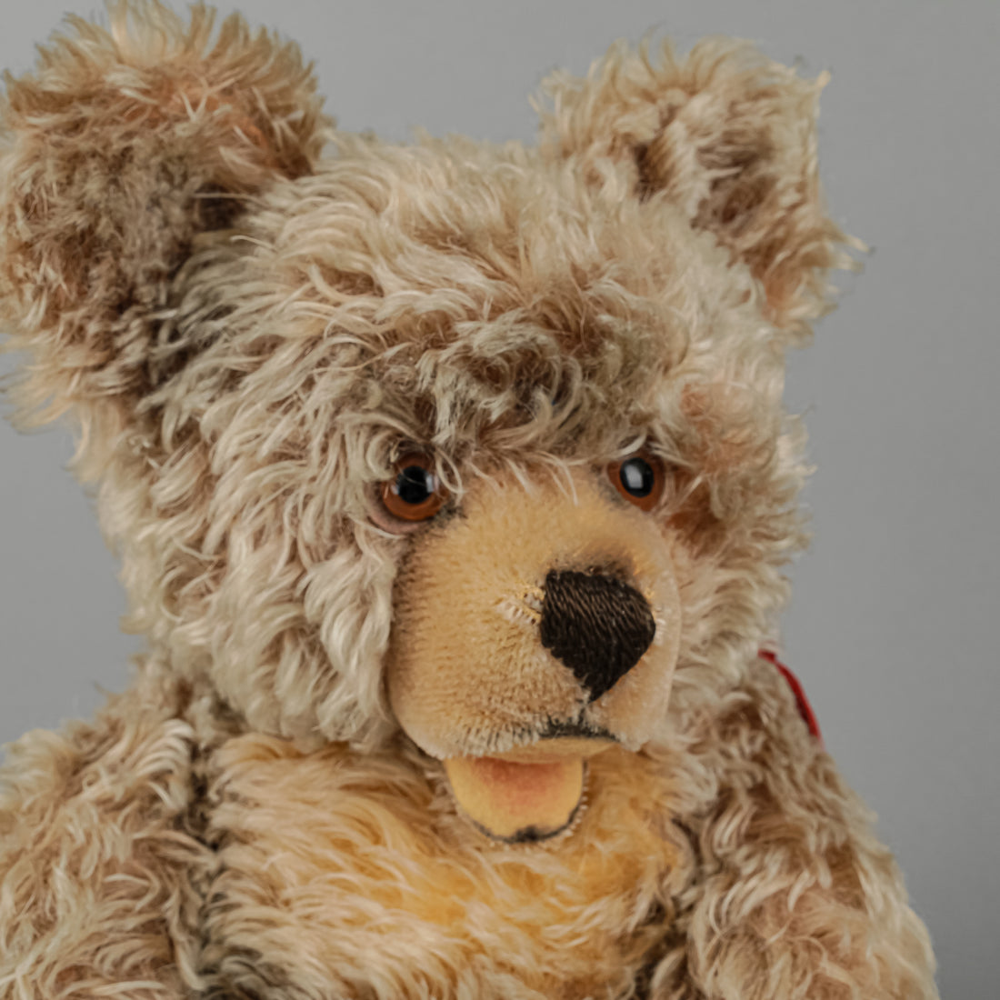 STEIFF Zotty Teddy Bear