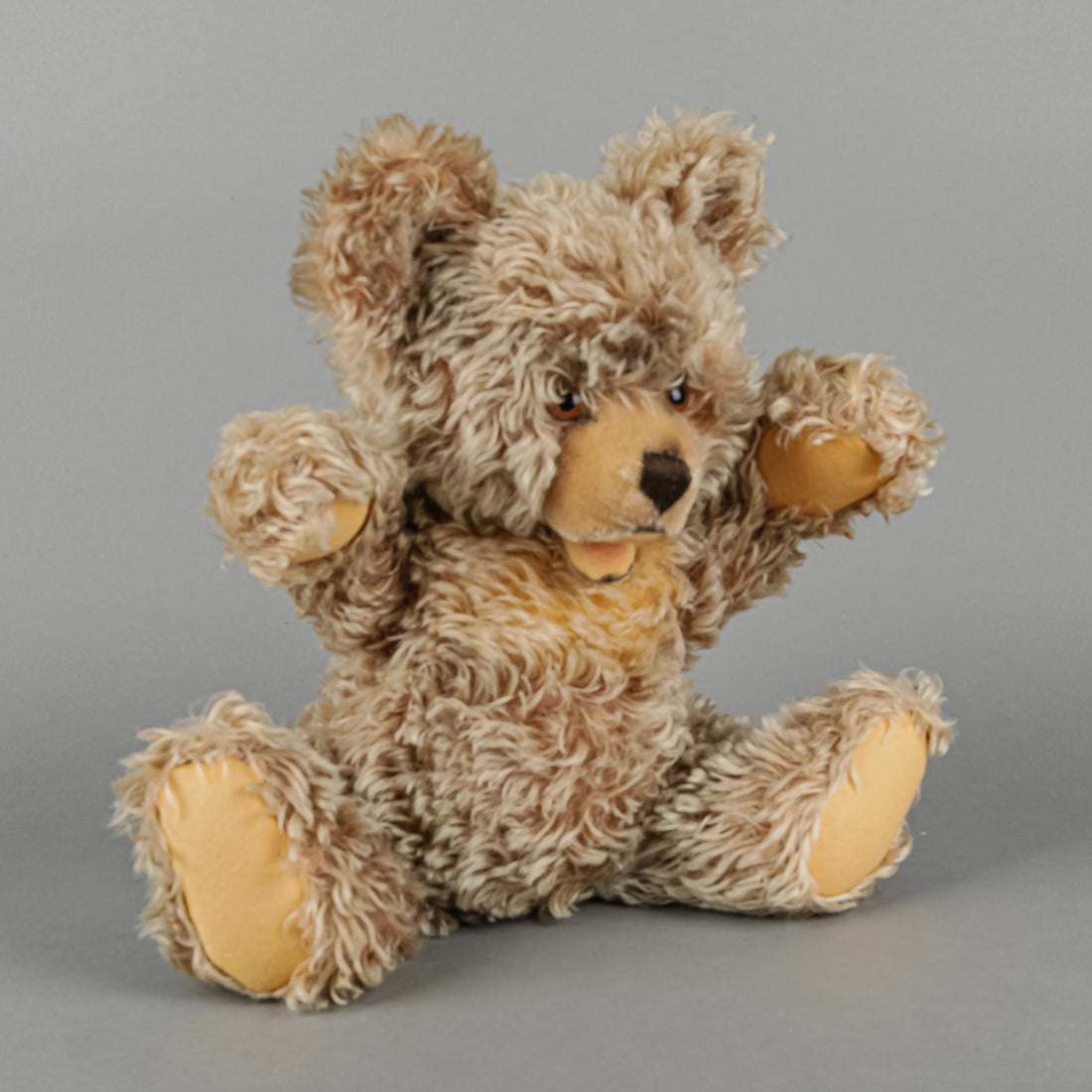 STEIFF Zotty Teddy Bear