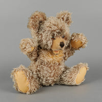 STEIFF Zotty Teddy Bear