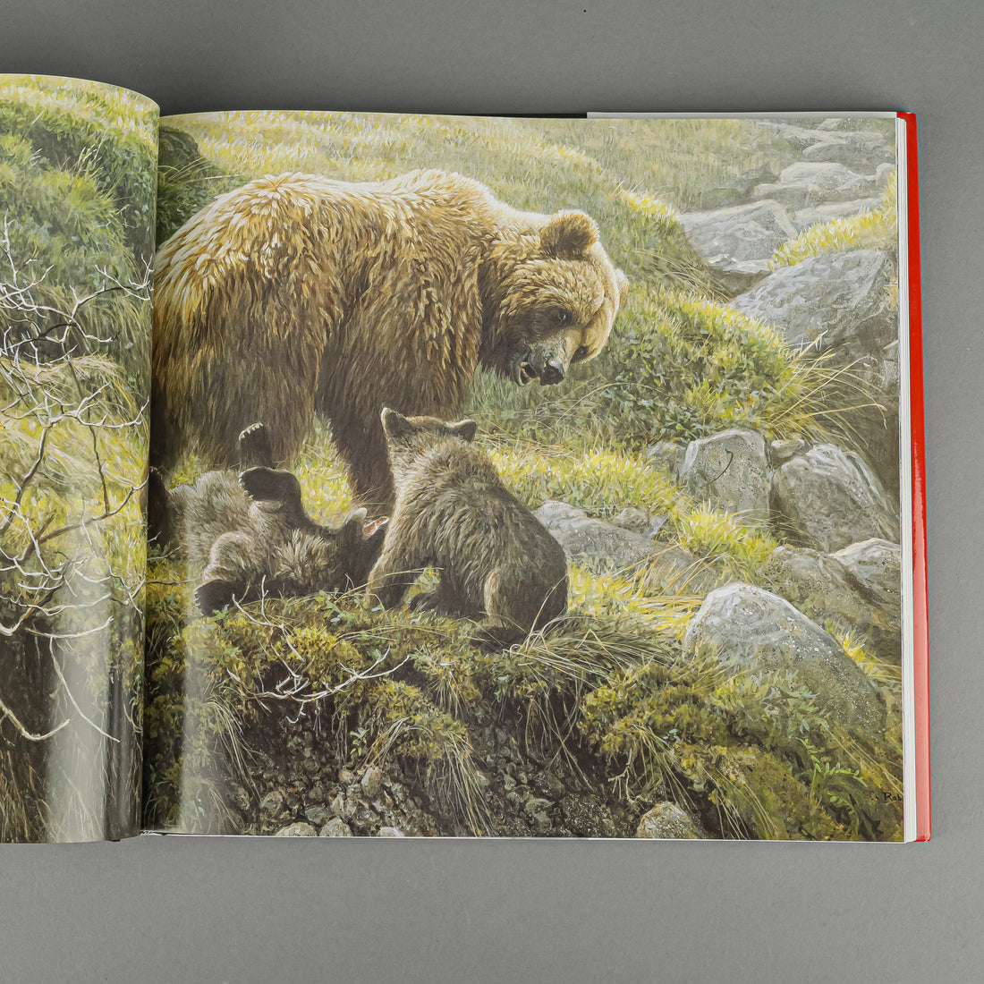 BOOK - ROBERT BATEMAN: NATURAL WORLDS By Bateman & Archbold
