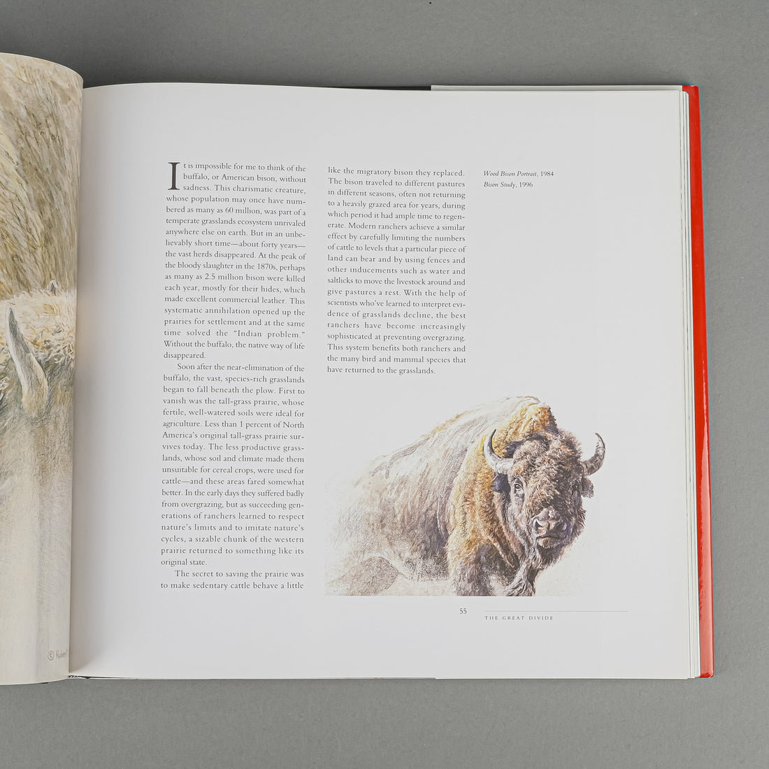 BOOK - ROBERT BATEMAN: NATURAL WORLDS By Bateman & Archbold