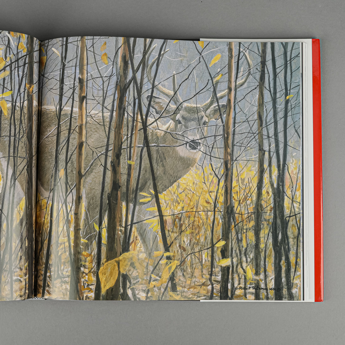BOOK - ROBERT BATEMAN: NATURAL WORLDS By Bateman & Archbold