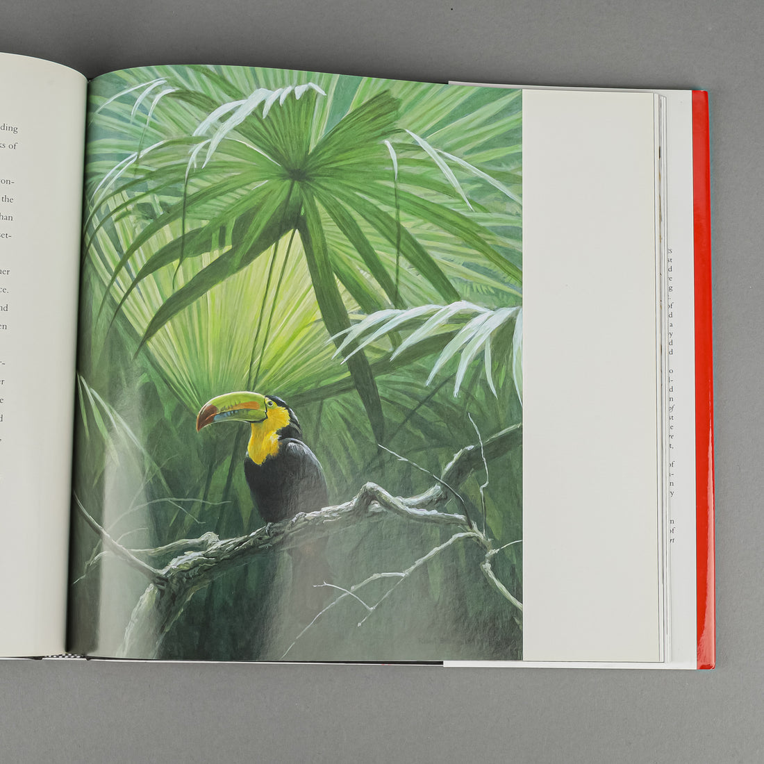 BOOK - ROBERT BATEMAN: NATURAL WORLDS By Bateman & Archbold
