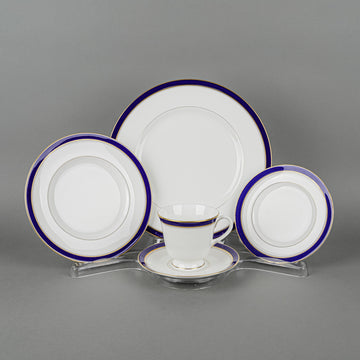 ROYAL WORCESTER Howard Blue 8 Place Settings Plus Extras