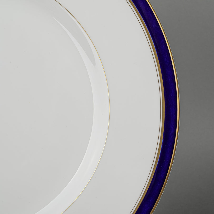 ROYAL WORCESTER Howard Blue 8 Place Settings Plus Extras