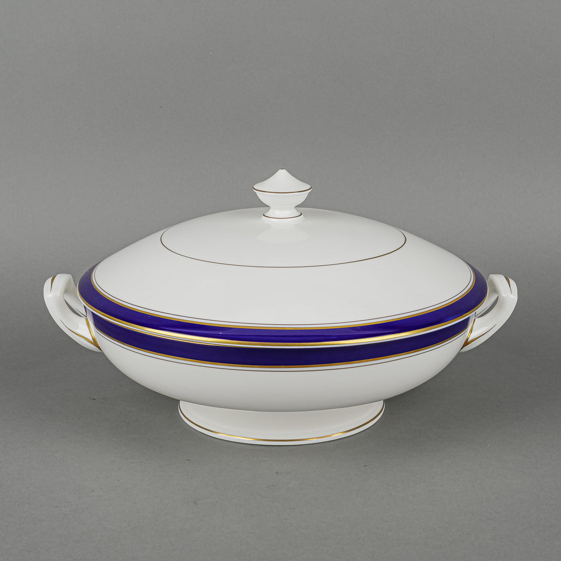 ROYAL WORCESTER Howard Blue 8 Place Settings Plus Extras