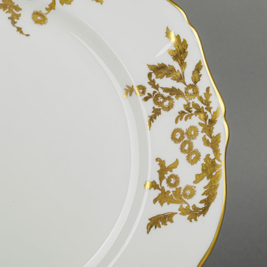 HAMMERSLEY Golden Tansy 65 Pieces