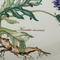 VILLEROY & BOCH Botanica Oval Bake Dish