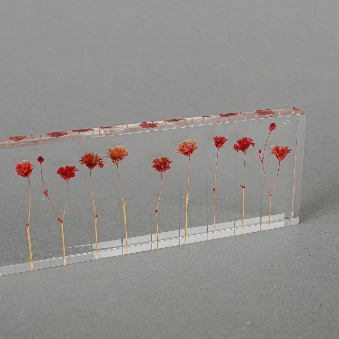 STUDIO NOTE Flowers Ruler
