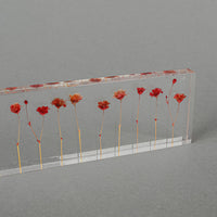 STUDIO NOTE Flowers Ruler