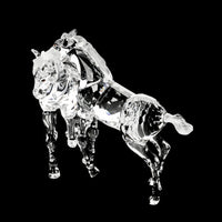 SWAROVSKI Foals Clear 627637