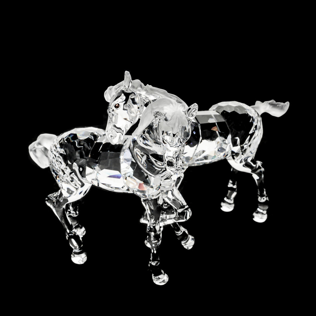 SWAROVSKI Foals Clear 627637