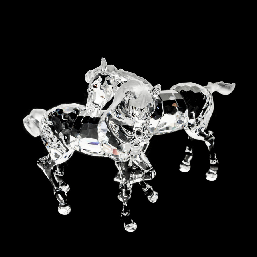 SWAROVSKI Foals Clear 627637