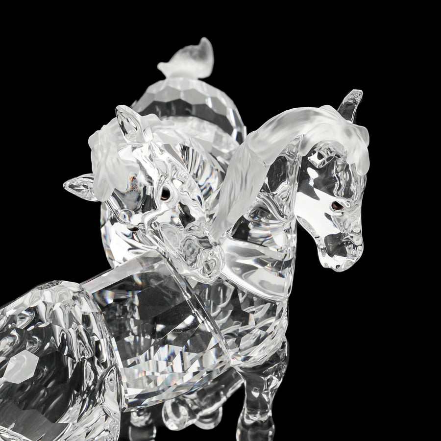 SWAROVSKI Foals Clear 627637