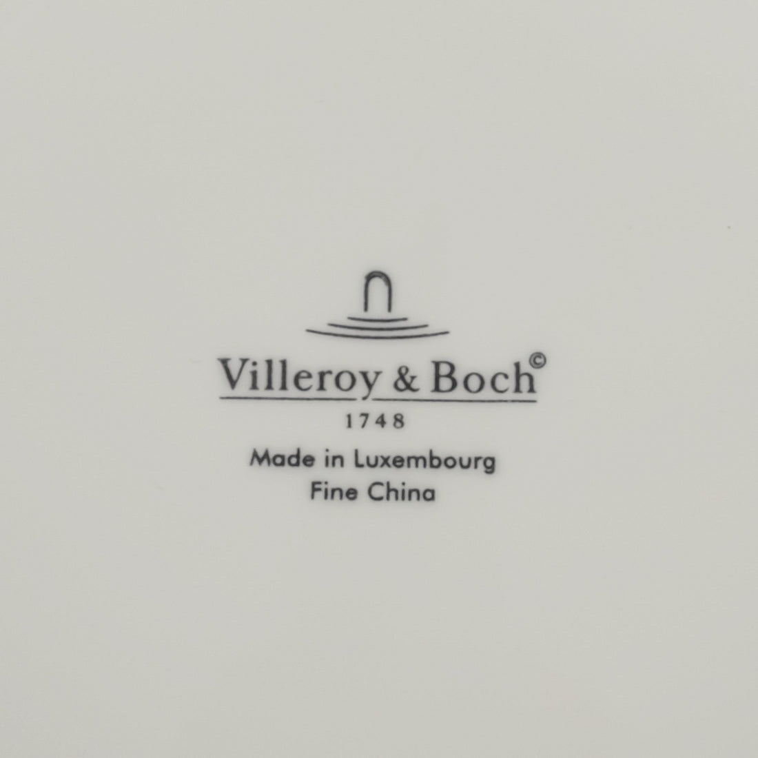 VILLEROY & BOCH Royal Weiss Rimmed Pasta Bowl Set Of 2