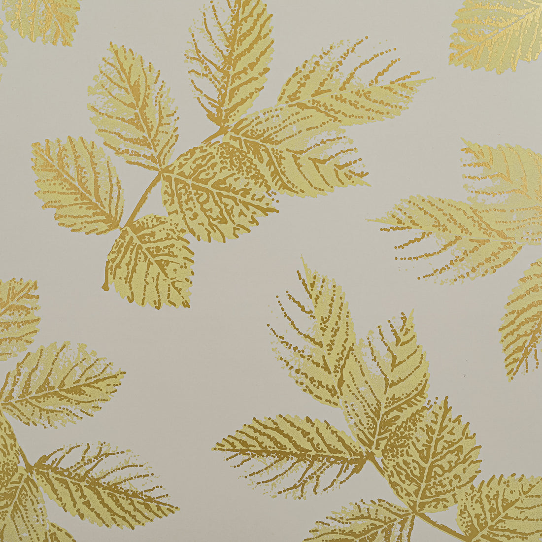 PORTMEIRION Board Placemats Set of 4 Boxed - Sue Miller Leaves