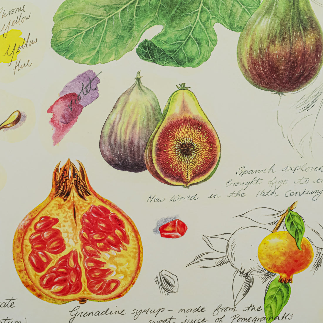PORTMEIRION Board Placemats Set/4 Boxed - Exotic Fruits