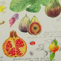 PORTMEIRION Board Placemats Set/4 Boxed - Exotic Fruits
