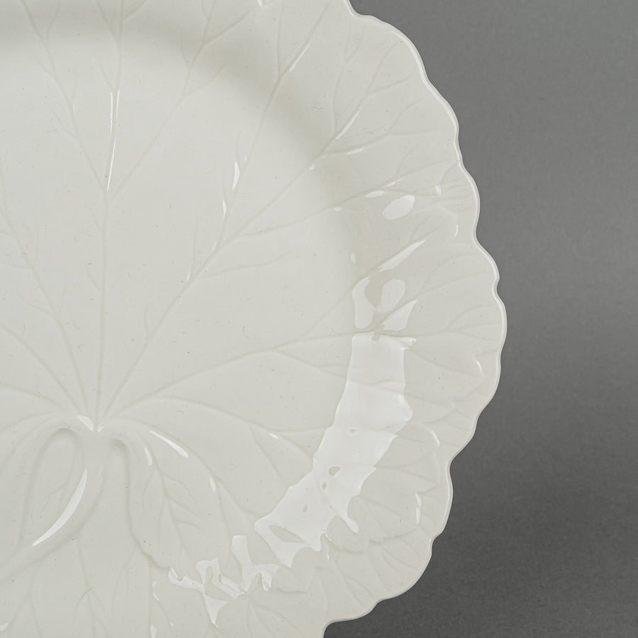 WEDGWOOD Dysart Leaf Salad Plates Set/8 D8"