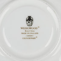 WEDGWOOD Countryware Tea Set 10 Pieces