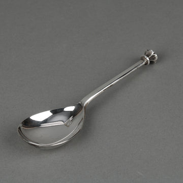 PAYNE & SON Sterling Silver Spoon