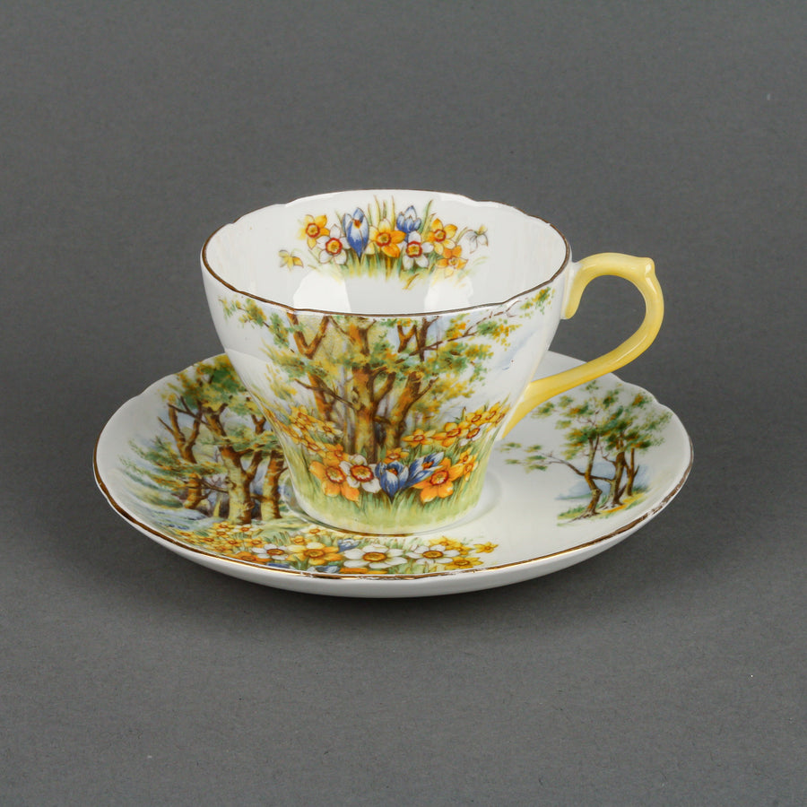 SHELLEY Daffodil Time Cup & Saucer