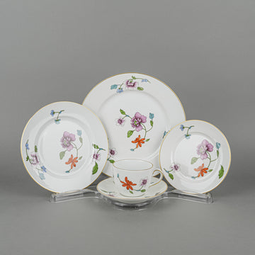 ROYAL WORCESTER Astley 8 Place Settings w/Extras