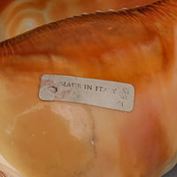 Cameo - Relief Carved Conch Shell