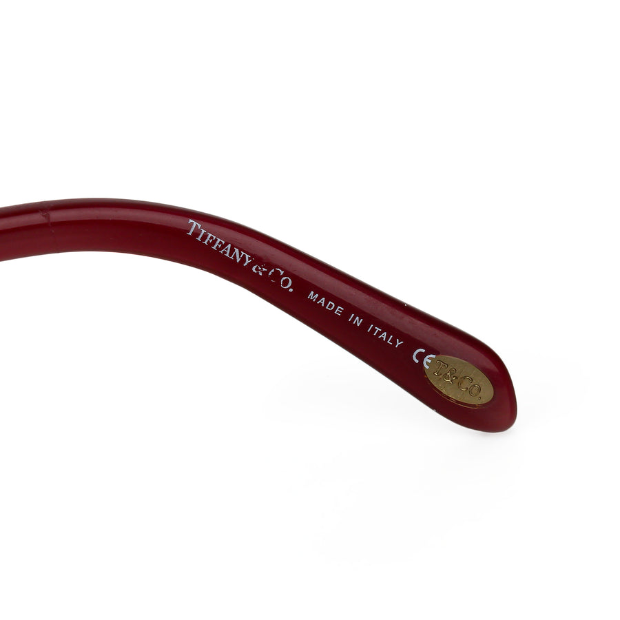 TIFFANY & CO. TF3006B Sunglasses