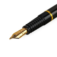WATERMAN Laureat Fountain Pen - Grey Marble