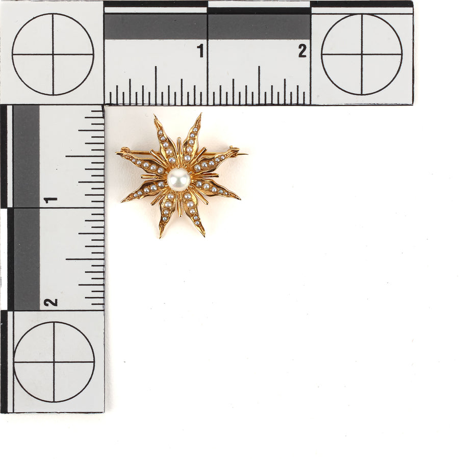 14K Yellow Gold Pearl Starburst Pin Pendant