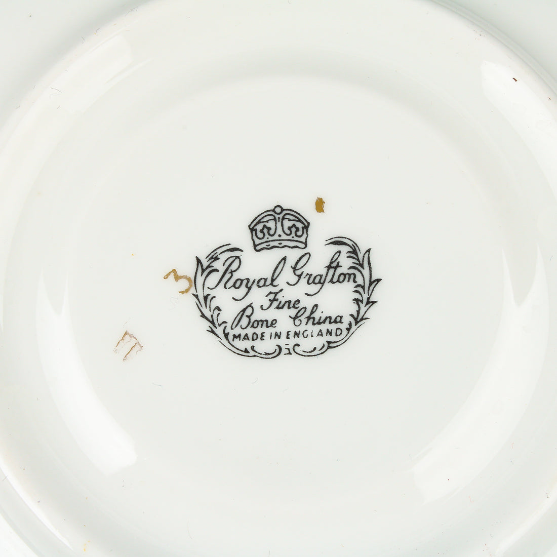 ROYAL GRAFTON Hand-Painted Black & Gold Rim Cup & Saucer Floral