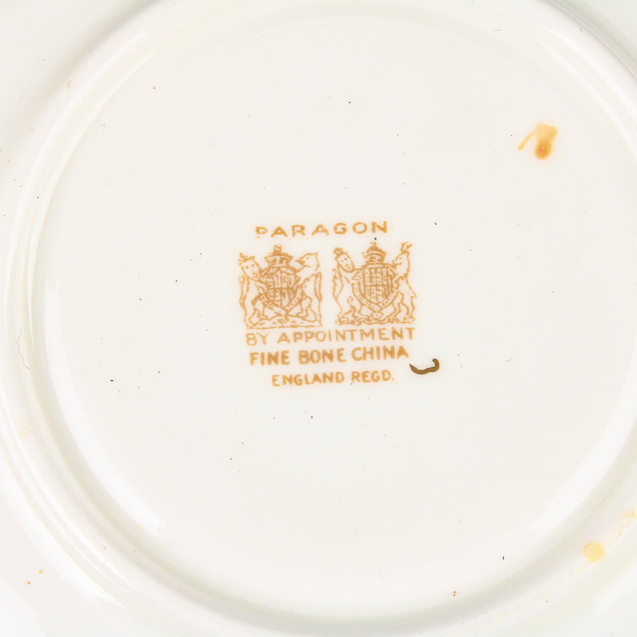 PARAGON Hand-Painted Floral Spray Cup & Saucer