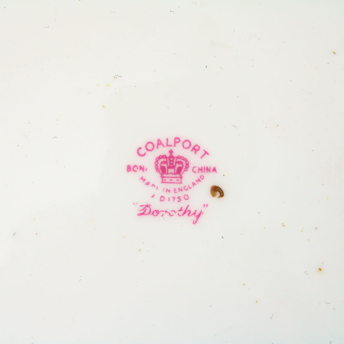 COALPORT Dorothy - 7 Place Settings +
