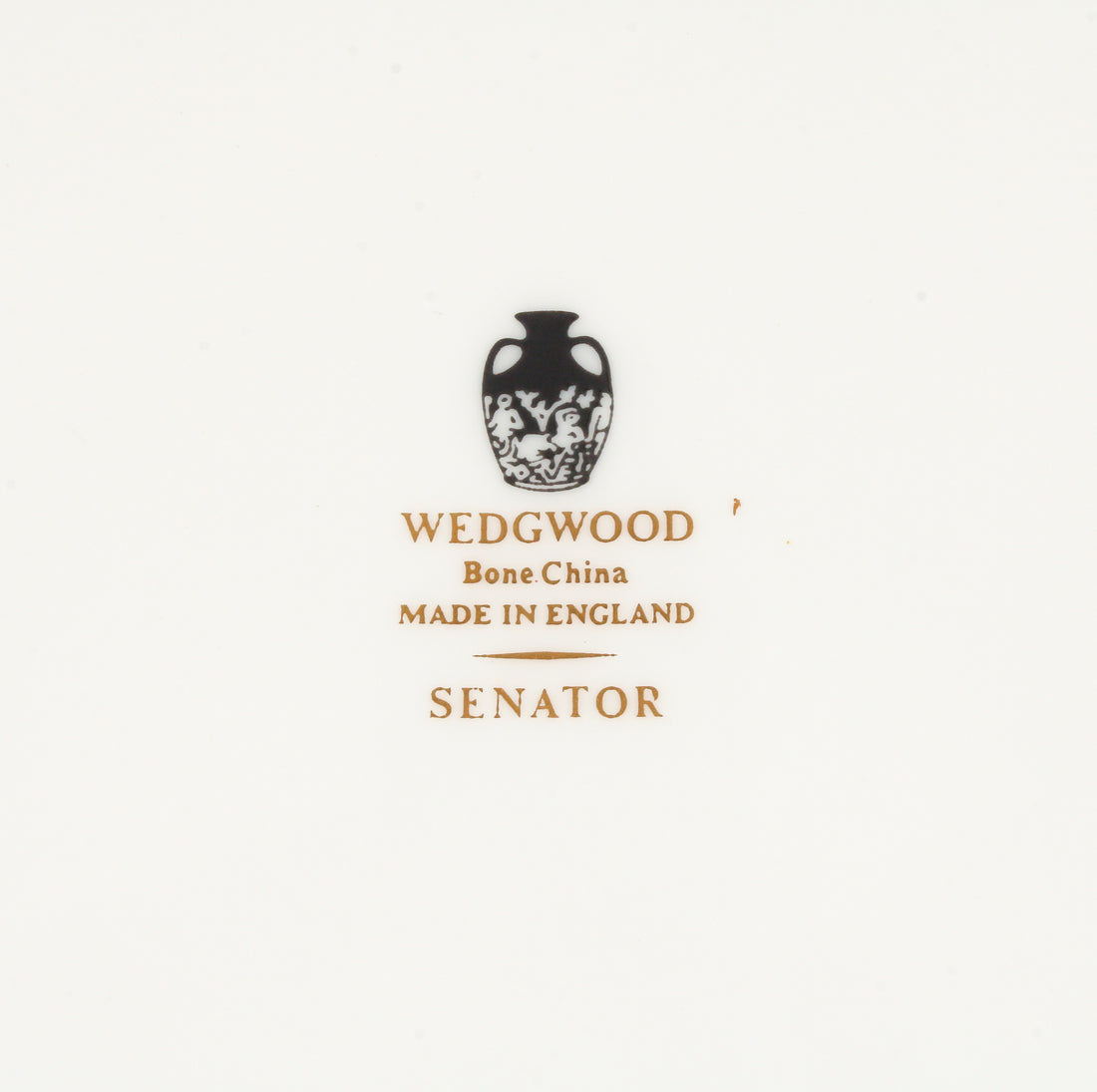 WEDGWOOD Senator - 6 Place Settings +