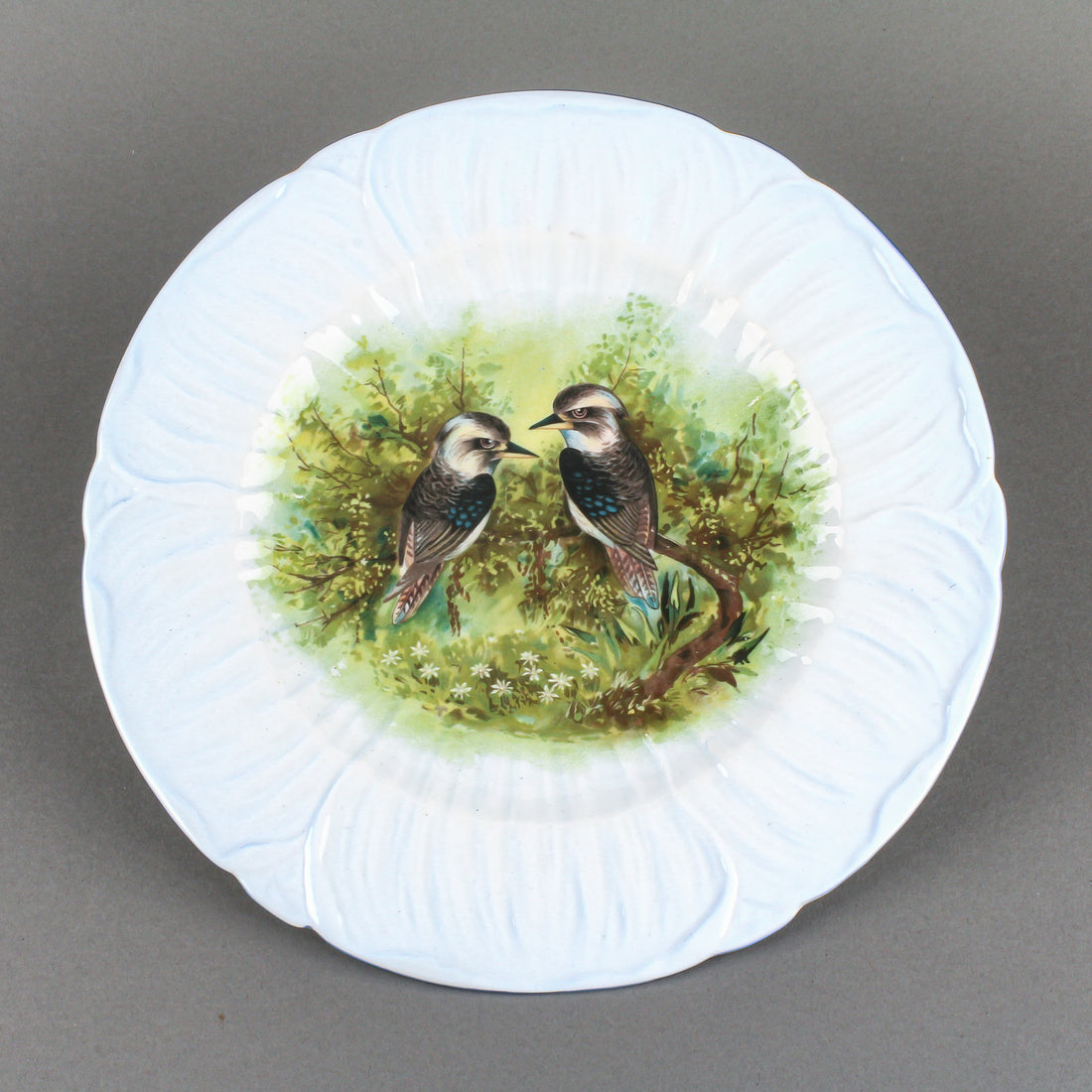 SHELLEY Kookaburra Cabinet Plate