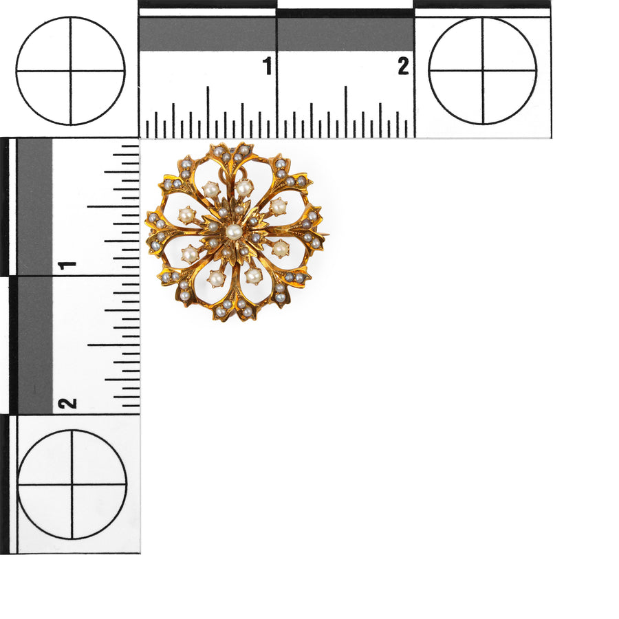 14K Yellow Gold Seed Pearl Pin Pendant