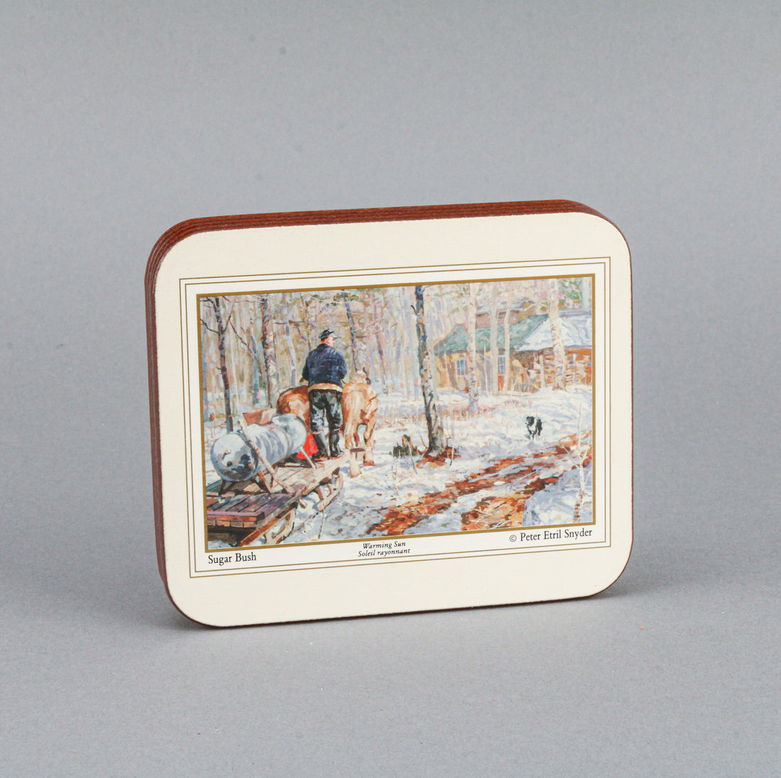 JASON Sugar Bush Coasters - Set of 6